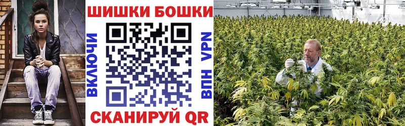 Каннабис OG Kush  Купить  Себеж 